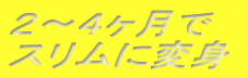 2〜4ヶ月で スリムに変身
