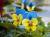 �ʐ^ �u1999121�v�T���l�C��