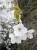 �ʐ^ �u2000041�v�T���l�C��