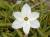 �ʐ^ �u2000042�v�T���l�C��