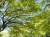 �ʐ^ �u2001051�v�T���l�C��