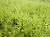 �ʐ^ �΂��O�~���u2001103�v�T���l�C��