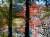 �ʐ^ �����k�̍g�t�u2001113�v�T���l�C��