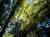 �ʐ^ �ѐ��R�̗z���u2001118�v�T���l�C��