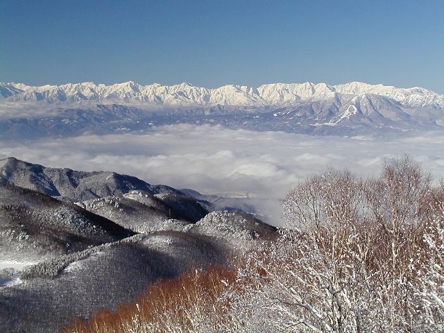 �_�C�u2001121�v�@79kB