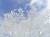 �ʐ^ �������u2001124�v�T���l�C��