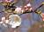 �ʐ^ ���u2002032�v�T���l�C��