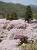 �ʐ^ ���̐X�u2002041�v�T���l�C��