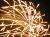 �ʐ^ �����u2002082�v�T���l�C��