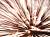 �ʐ^ �����u2002084�v�T���l�C��