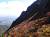 �ʐ^ �R�e�ƍg�t�u2002107�v�T���l�C��