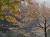 �ʐ^ �G�ߊO��̐�u2002111�v�T���l�C��