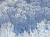 �ʐ^ ���F�̖ؖ؁u2002122�v�T���l�C��
