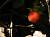 �ʐ^ ��䕁u2003062�v�T���l�C��