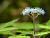 �ʐ^ ���؁u2003063�v�T���l�C��