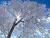 �ʐ^ ���Z���u2003122�v�T���l�C��