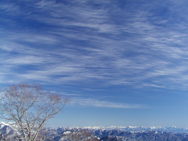 �_�̓�u2004011�v�@58kB