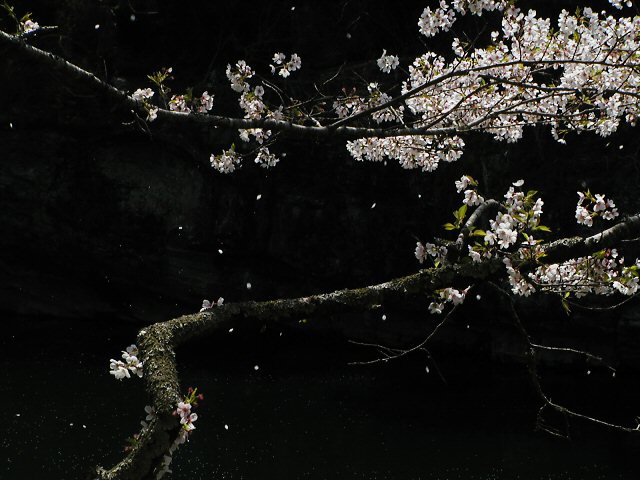 �U����u2004042�v�@74kB