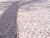 �ʐ^ ���F�̐��ʁu2004045�v�T���l�C��
