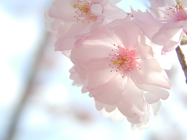 �����u2004046�v�@62kB