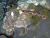 �ʐ^ �싛�u2004051�v�T���l�C��