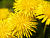 �ʐ^ �^���|�|�u2005041�v�T���l�C��