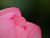 �ʐ^ �n�X�̉ԁu2005071�v�T���l�C��