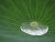 �ʐ^ �t��̐����u2005073�v�T���l�C��