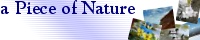 a Piece of Nature �o�i�[ 200�s�N�Z���~40�s�N�Z��