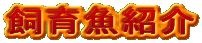 ���狛�Љ�
