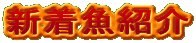�V�����Љ�