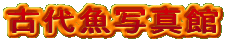 �Ñ㋛�ʐ^��
