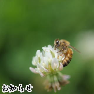 ���m�点