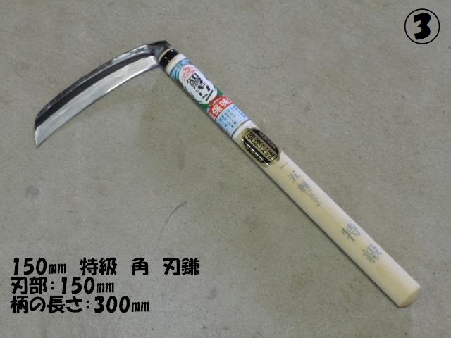 150 yp^z