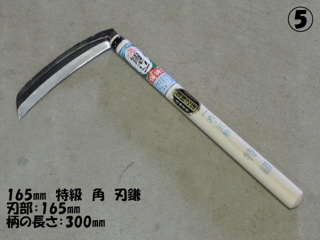 165 yp^z