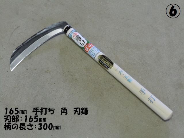 165 yp^z