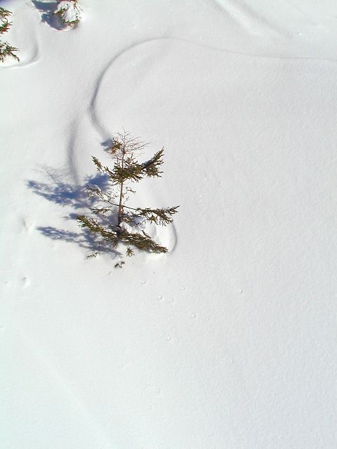 �X�L�[���[�u2002123�v�@30kB