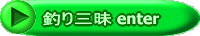 ނO