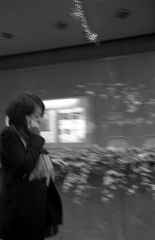 �t���[��